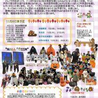 11月園だより ブロブ用のサムネイル